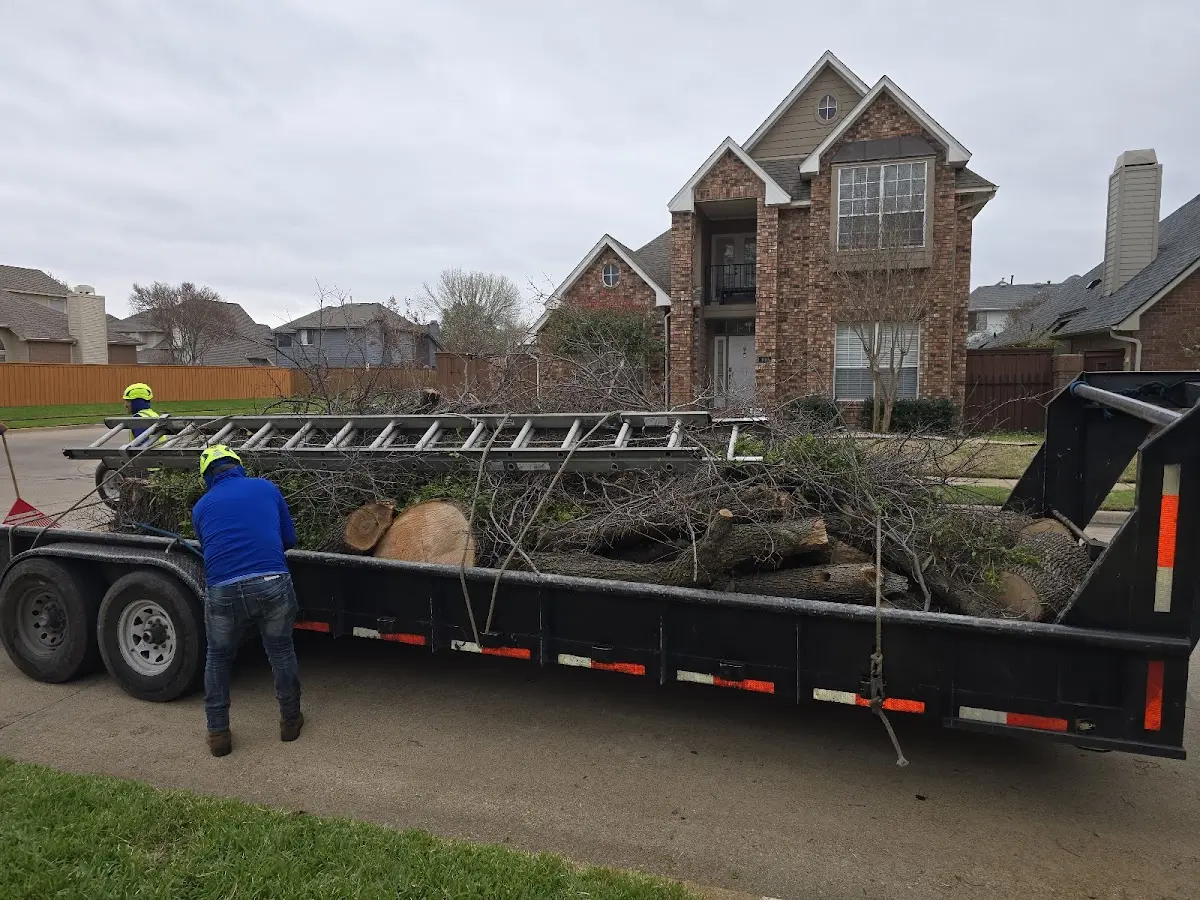 Expert Tree Fertilization with proper safety equipment in Rowe